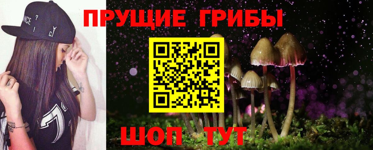 Псилоцибиновые грибы мицелий Орёл