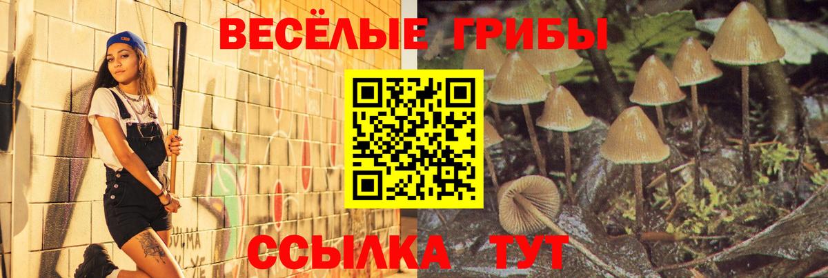 Галлюциногенные грибы Magic Shrooms  Вход с VPN  Орёл  купить наркотики сайты  Псилоцибиновые грибы мухоморы 