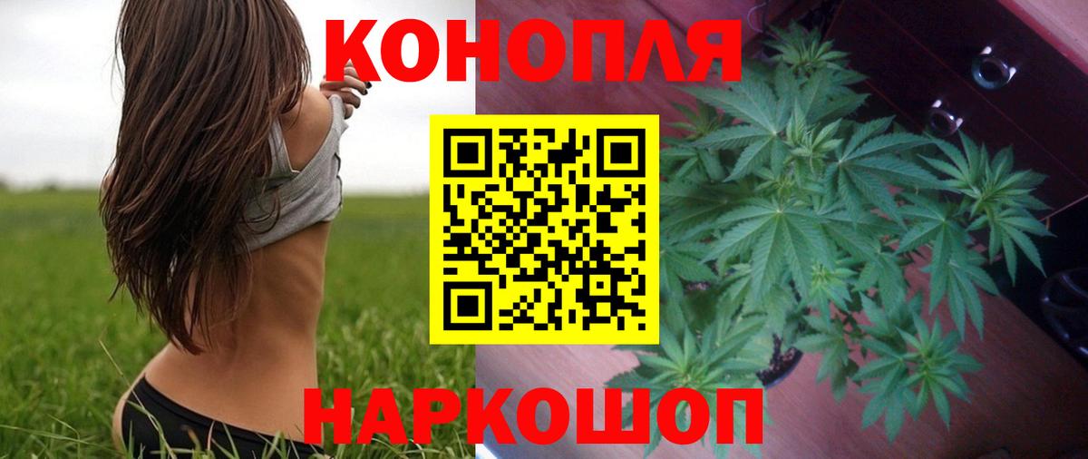 Бошки Шишки сатива Орёл
